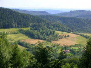 Rusava web krajina